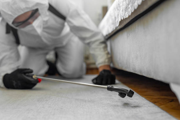 Professional Termite Control technician working in Audubon, IA