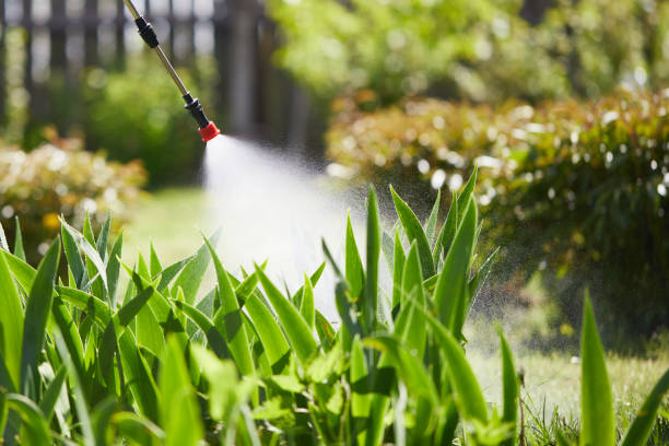 24/7 Emergency Termite Control experts in Audubon, IA