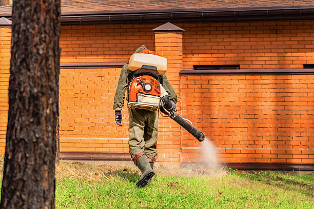 Trusted Termite Control service in Audubon, IA - Nex Pest Control